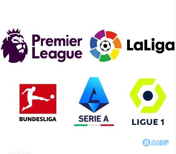 的活力与动 的活力与动